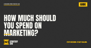 Strategy Zoo guide on setting a small business marketing budget
