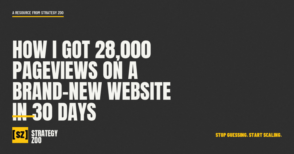 Strategy Zoo featured image for how to get traffic to a new website, 28,000 pageviews in 30 days