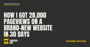 Strategy Zoo featured image for how to get traffic to a new website, 28,000 pageviews in 30 days