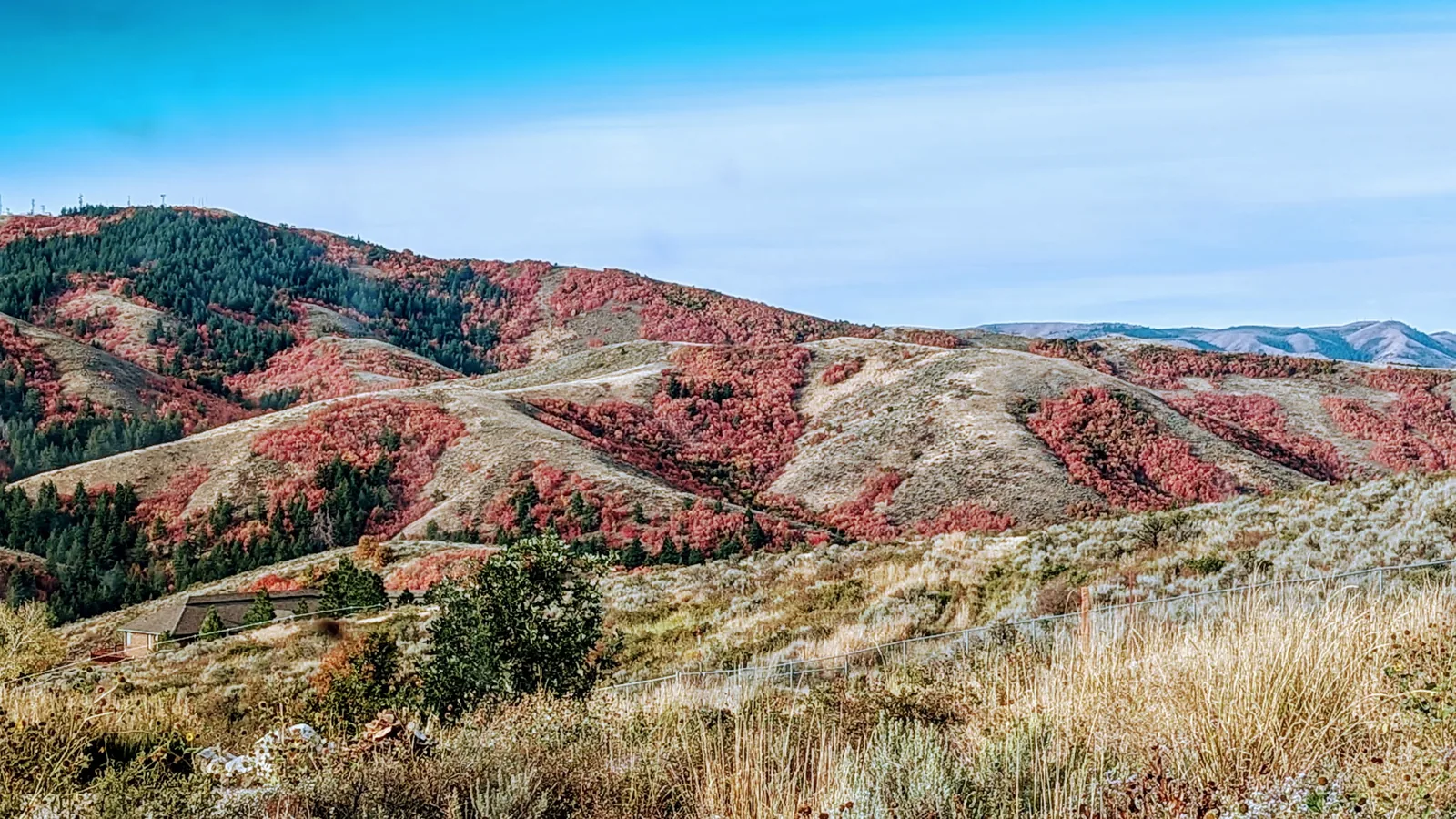 Fall colors across the foothills outside Pocatello, Idaho