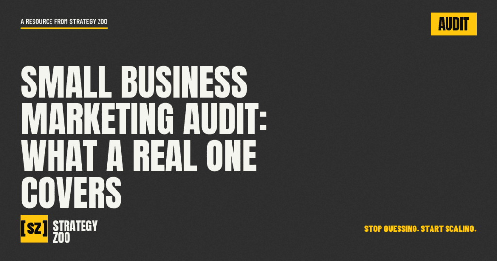 Strategy Zoo cover graphic for an article on what a small business marketing audit covers
